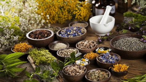 Herbal Rituals and Spells: Embracing the Magic of Plant-Based Magic